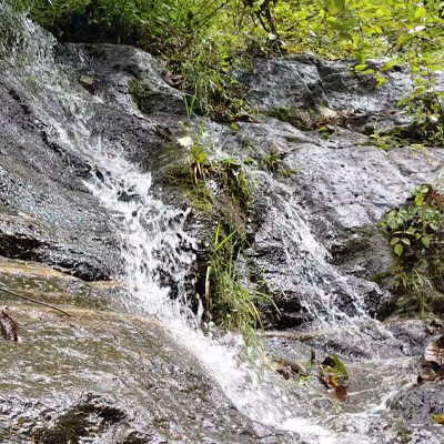 clean-running-water-from-waterfall-in-himalayan-jungle