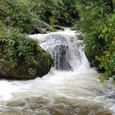 green-running-water-from-waterfall-in-himalayan-jungle