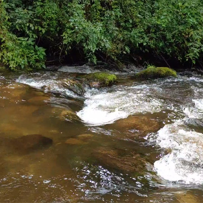 waterfall-in-himalayan-jungle