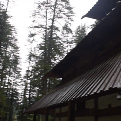 hadimba-devi-temple-long-tree-area-manali-himachal-pradesh-long-tree-area