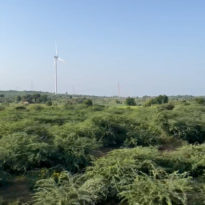 gujarat-working-windmill-in-field-pawan-chakki-stock-footage