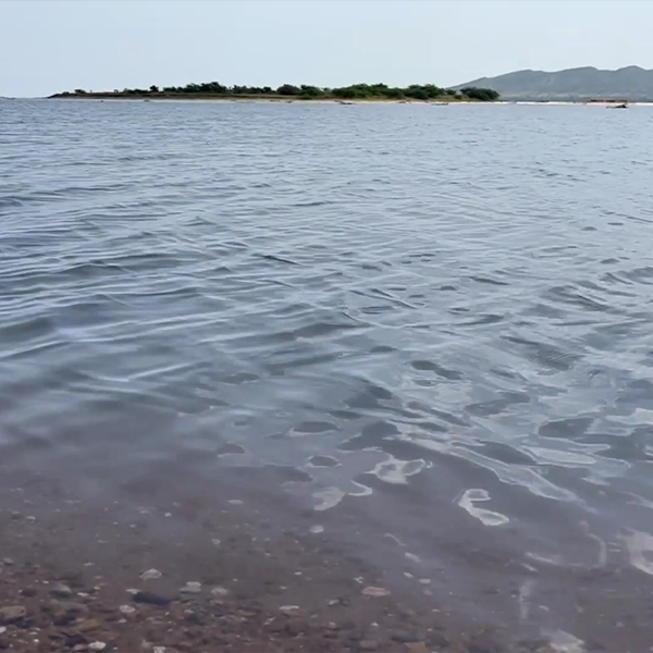 water-wave-bottom-of-sea-at-gulf-of-kutch-arabian-sea-stock-footage