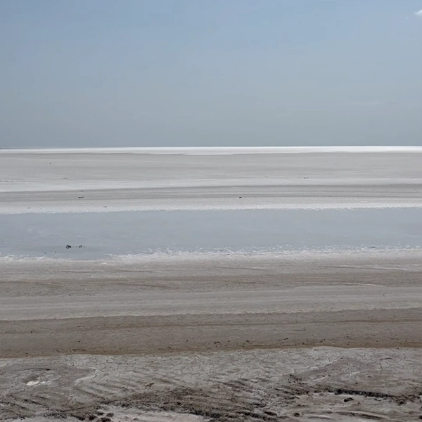 white-sand-sea-at-gujarat-gulf-of-kutch-arabian-sea-india-stock-video-footage