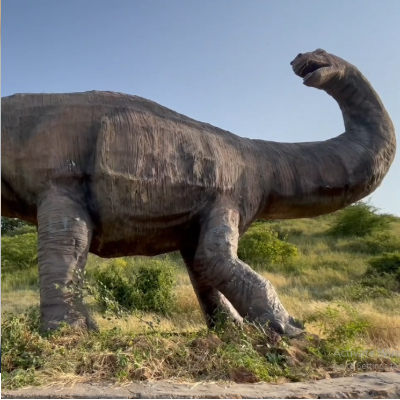 dinosaur-stock-video-footage-in-india-fossil-park-gujarat