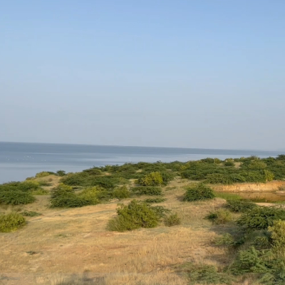 desert-and-ocean-at-the-same-place-greenery-on-desert-registan-in-india-stock-video-footage