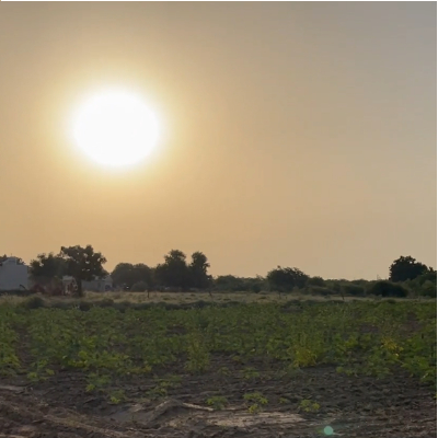 sunrise-in-the-middle-of-wide-range-farm-indian-stock-footage