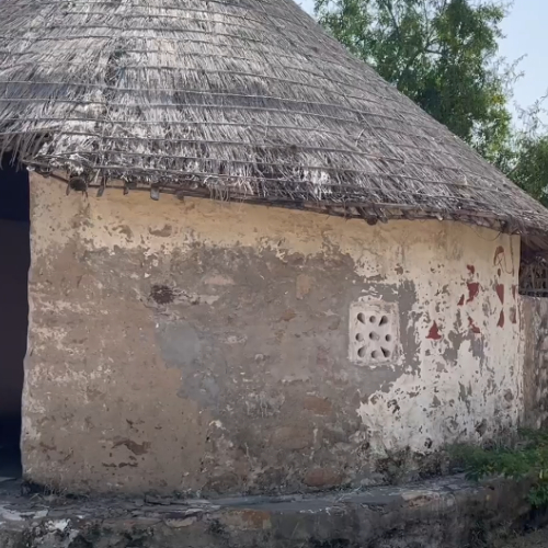 india-style-hut-local-in-village-of-dholavira-gujrat-stock-footage