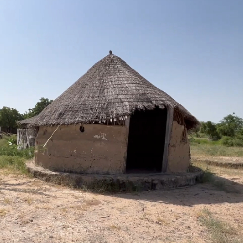 indian-style-hut-local-in-village-of-dholavira-gujrat-stock-footage